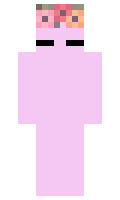 F0XT1 minecraft skin