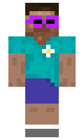 lolvliegticket minecraft skin