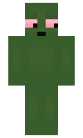 NoHack minecraft skin