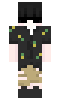 bc1c71021b6e66 minecraft skin