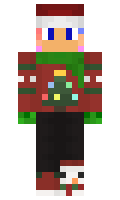 bc1dcca831243e minecraft skin