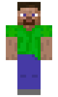 bc2815d62df9ee minecraft skin