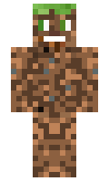 sandw1ch minecraft skin