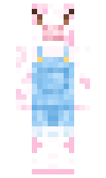 bc4a03a883210b minecraft skin