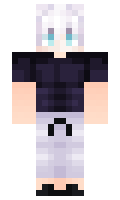 virginn minecraft skin