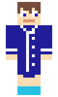 shinaly minecraft skin