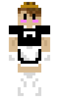 bcf87c0a71eda5 minecraft skin