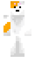 bd10e707505d34 minecraft skin