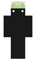 equilibrium minecraft skin