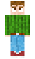 bd2a12e8dddb5f minecraft skin