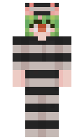 bd4b3a399e052c minecraft skin