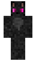 bd9a523f299d49 minecraft skin