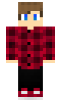 bdb67b2afcec5f minecraft skin