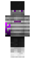 protelly minecraft skin