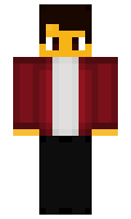domkan minecraft skin