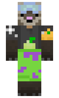Hosti1338 minecraft skin