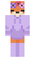 bddff643dd6ab2 minecraft skin