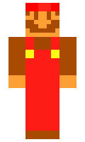 VID minecraft skin