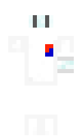 Skyconfronter minecraft skin