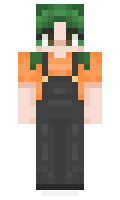 be1ea181a5672e minecraft skin