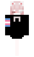 be2096a6484f49 minecraft skin