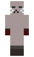 donotthecat minecraft skin