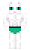 Weatherhouse minecraft skin