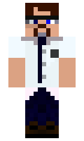 Terrisdwdc minecraft skin