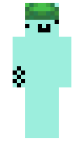 Zewki minecraft skin