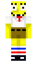 beb2bb26c5f3f3 minecraft skin