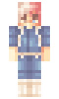 6t3 minecraft skin