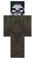 bed56d1fdded4a minecraft skin