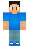 BracoGem minecraft skin