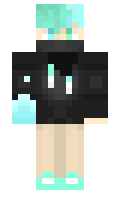 4534 minecraft skin