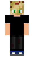 bee93e850830e1 minecraft skin