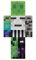 Skadeshot minecraft skin