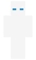 lere minecraft skin