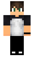 FliPin minecraft skin