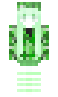 bf65dc90ea0137 minecraft skin