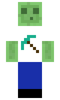 playcam500 minecraft skin