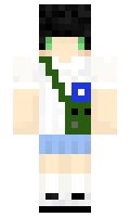 bf6d29404c8a6d minecraft skin