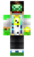 bf7dee97326d33 minecraft skin