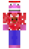 bf973d1f7d3565 minecraft skin