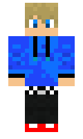 Short minecraft skin