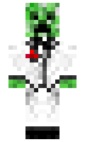 bfbb12d66eb5bd minecraft skin