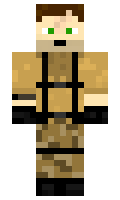 dx36d01 minecraft skin