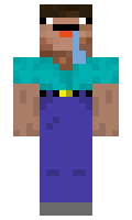 RankList5222472 minecraft skin