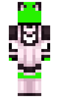 c01344f9979380 minecraft skin