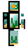 WAW minecraft skin