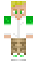 Tobitibi minecraft skin